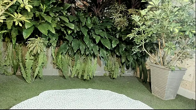 loladupont online show from 10, 9, 2025