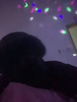 bidex002 online show from 7, 4, 2026