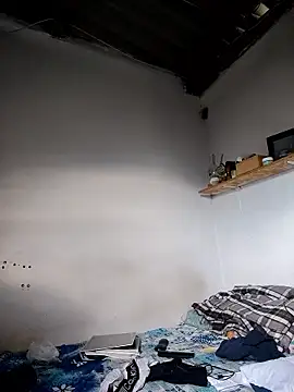 gatoalex89 online show from 12, 4, 2026