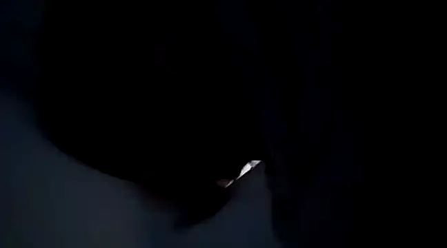 Snapshot of Saori_san_ chatting on 4, 1, 2025 Saori san online show from 4, 1, 2025