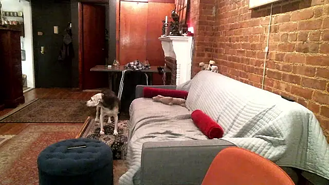 Johnny Bottoms online show from 23, 10, 2025