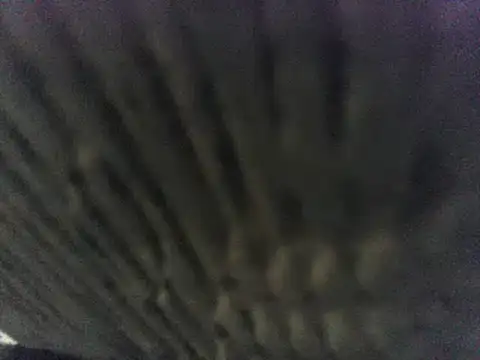 party51502 online show from 8, 3, 2025