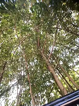 fox naughty violet online show from 30, 1, 2025