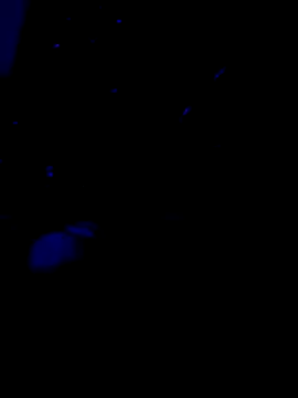 Amadass90 online show from 11, 2, 2025