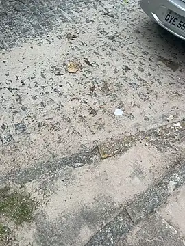 Casadadelicia26 online show from 19, 3, 2026