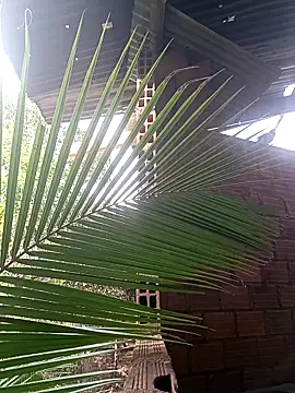 Andres123cv online show from 18, 12, 2025