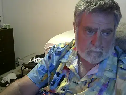 viejo oso online show from 20, 9, 2025