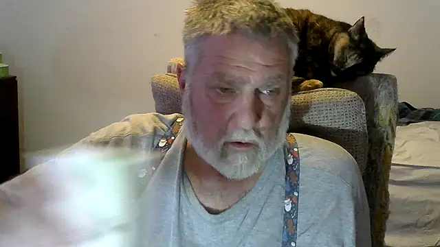 viejo oso online show from 17, 11, 2025