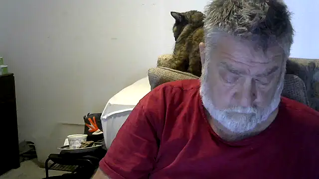 viejo oso online show from 30, 11, 2025