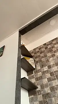 Sophia cyrus11 online show from 6, 2, 2026