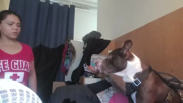 Dnasty408 online show from 7, 11, 2025