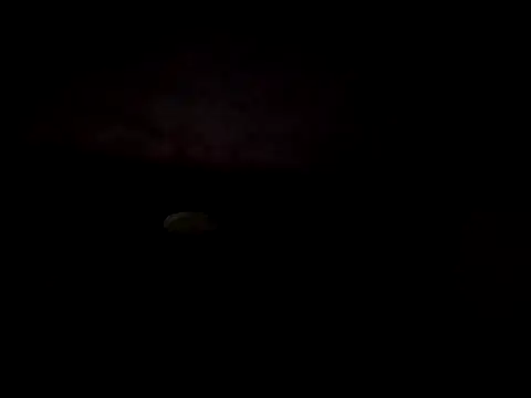 IamRentedBoybfriend online show from 16, 11, 2025