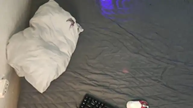 kyle 898 online show from 2, 12, 2025