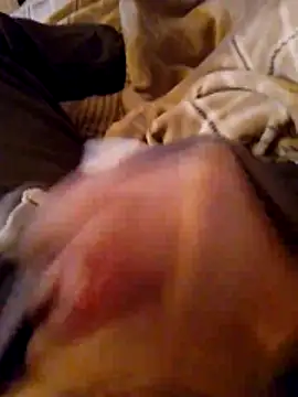 Snapshot of MaxiFabry chatting on 20, 10, 2025 MaxiFabry online show from 20, 10, 2025