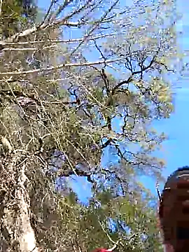 Snapshot of VelvetChocolate7 chatting on 24, 2, 2026 VelvetChocolate7 online show from 24, 2, 2026