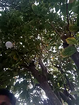 carria homes online show from 20, 2, 2025