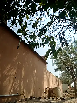 carria homes online show from 14, 3, 2025