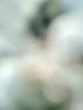 carria homes online show from 19, 2, 2025