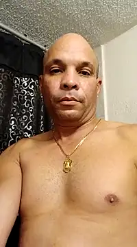 3patica online show from 29, 12, 2024