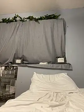 halo 2727 online show from 15, 11, 2025