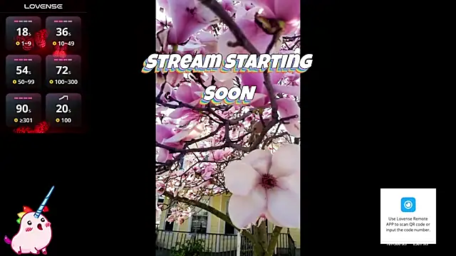 Hackensackneil online show from 16, 4, 2026