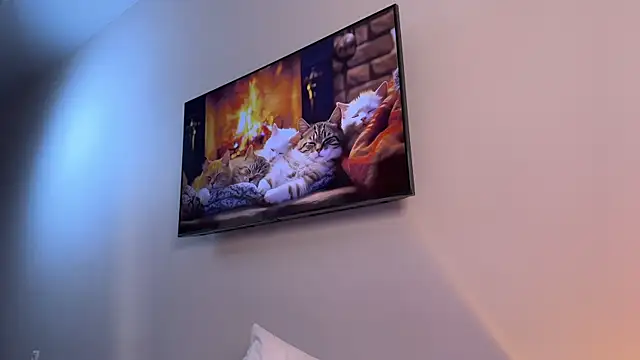 Carolyn Smith online show from 26, 2, 2025