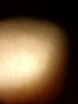 tesaodaweb online show from 9, 1, 2026