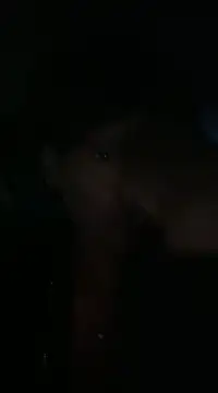 cinnabunzbunz86 online show from 19, 2, 2025