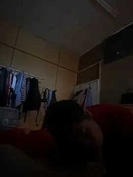 Snapshot of huynhphu2206vn chatting on 29, 12, 2024 huynhphu2206vn online show from 29, 12, 2024