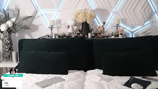 taanni bc online show from 3, 2, 2026