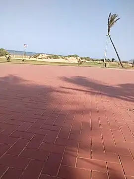 vhakhadzi online show from 14, 1, 2025