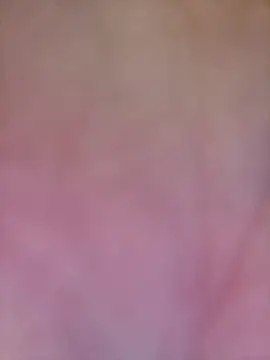 AnnalSV91 online show from 9, 10, 2025