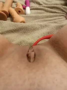 AnnalSV91 online show from 20, 2, 2025