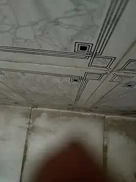 dreamers dick online show from 4, 1, 2025