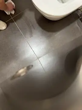 verici34 online show from 1, 3, 2026