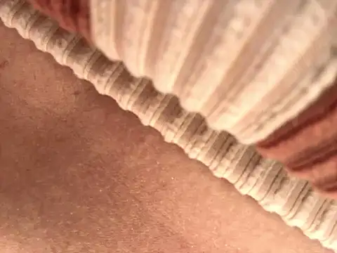 BELLA--26 online show from 17, 9, 2025