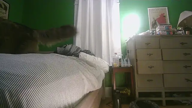 SadCatDaddy online show from 15, 2, 2026