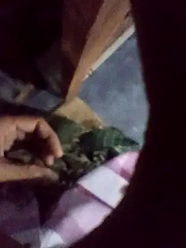 xLoveer online show from 5, 12, 2025