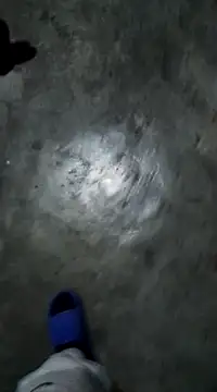 RODRI POLLADURA online show from 6, 1, 2025