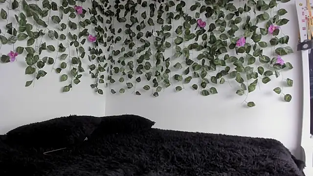 Laurensmith9 online show from 8, 4, 2026