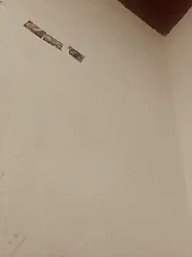 boobsTaylor online show from 3, 10, 2025