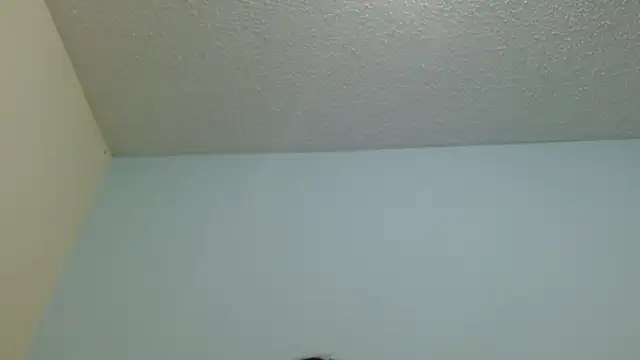 boobsTaylor online show from 12, 2, 2026