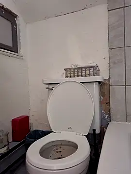 torontofag2use online show from 15, 9, 2025