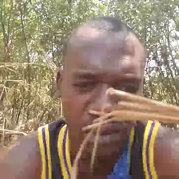 Kaizer1 online show from 2, 11, 2025