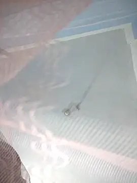 124pakhi online show from 12, 1, 2026