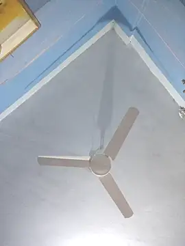 124pakhi online show from 14, 3, 2026