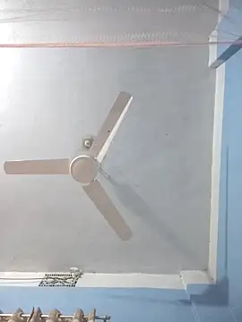 124pakhi online show from 22, 3, 2026