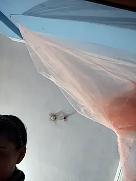 124pakhi online show from 30, 11, 2025