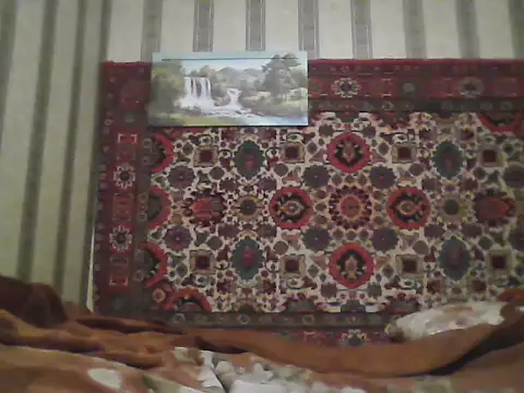 AlferezzSolvajo online show from 2, 12, 2025