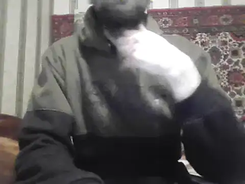 AlferezzSolvajo online show from 22, 3, 2025